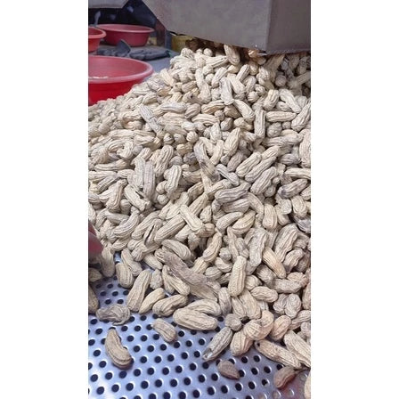 雲林9號花生 九號鹹酥(600*包)