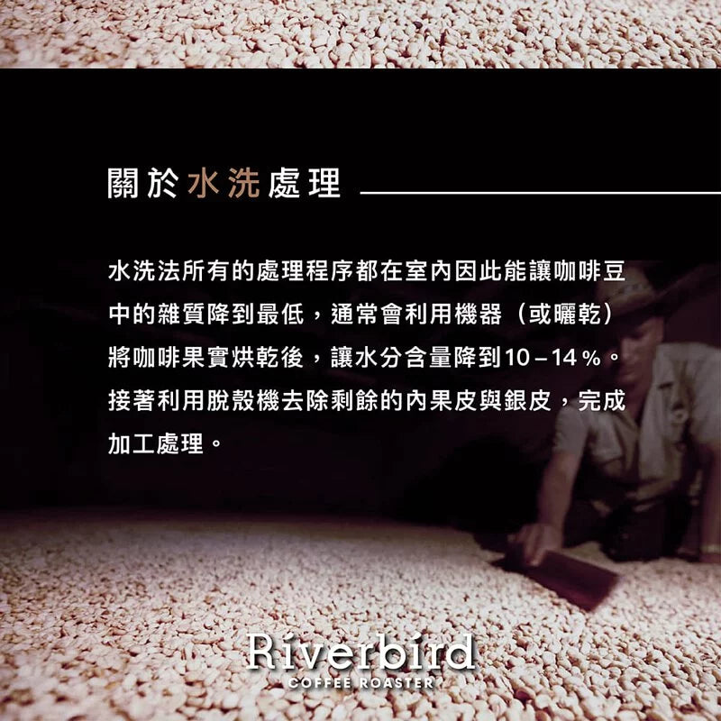 江鳥咖啡 【Riverbird】《225g》瓜地馬拉 波爾莎莊園