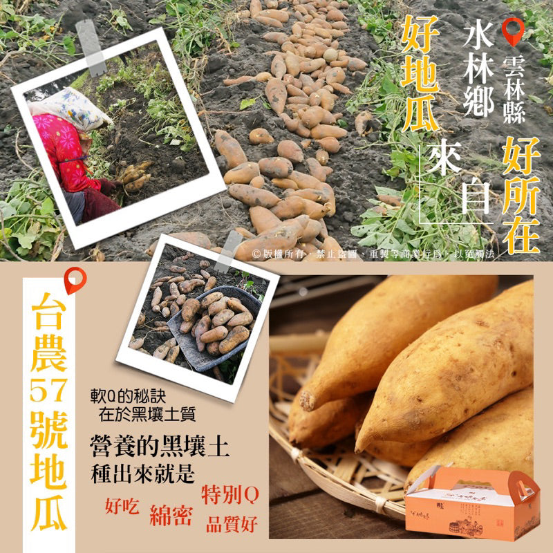 香濃綿密蜜焢古早味蕃薯台農57號地瓜Taiwan No. 57 Sweet Potato Original(200g/包)