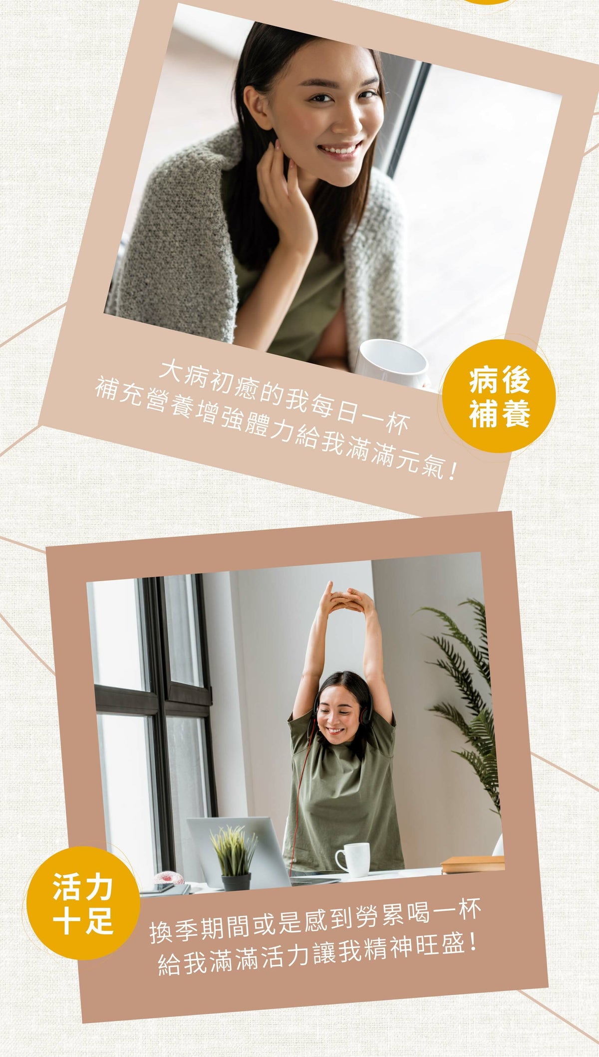 新譯漢方 活力雙耆茶｜漢方養生茶包 【健康維持】See In Herb ASTRAGALUS TEA(21入)