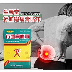 老字號生春堂 行血寧痛膏貼布 SHENG CHUN Pain Released Patch(10入/包)