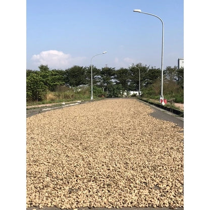 雲林9號花生 九號鹹酥(600*包)