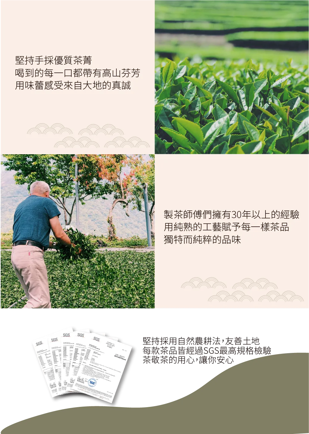 茶敬茶 黃梔烏龍 Tea to Tea(10入*盒)