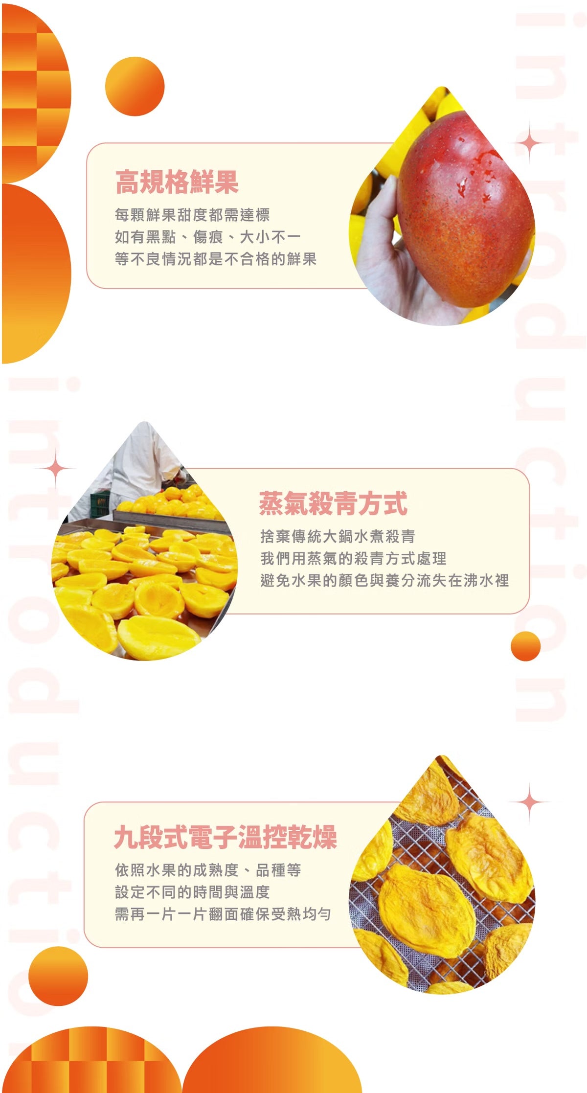 陽光菓菓 熱銷加量版｜愛文芒果乾