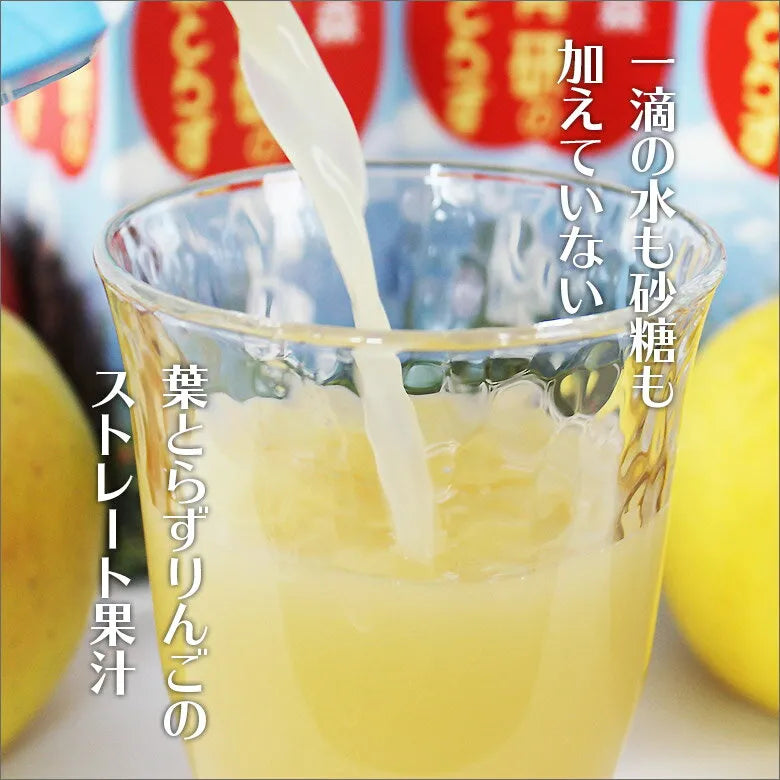 青森青研日本 蘋果汁 Japanese Apple Juice(1000g)