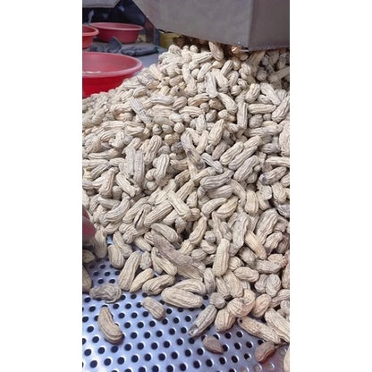 雲林9號花生 九號鹹酥(600*包)