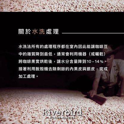 江鳥咖啡 【Riverbird】《225g》肯亞PB 安喬拉公主