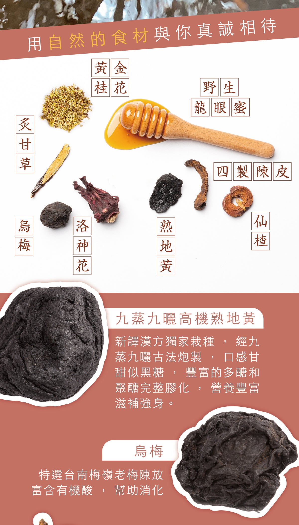 新譯漢方 【甜甜蜜蜜禮盒】黃金烏梅露2入禮盒｜節慶送禮．養生禮盒．生日送禮 See In Herb SOUR PLUM DRINK CONCENTRATED GIFT SET (220ml*2瓶)