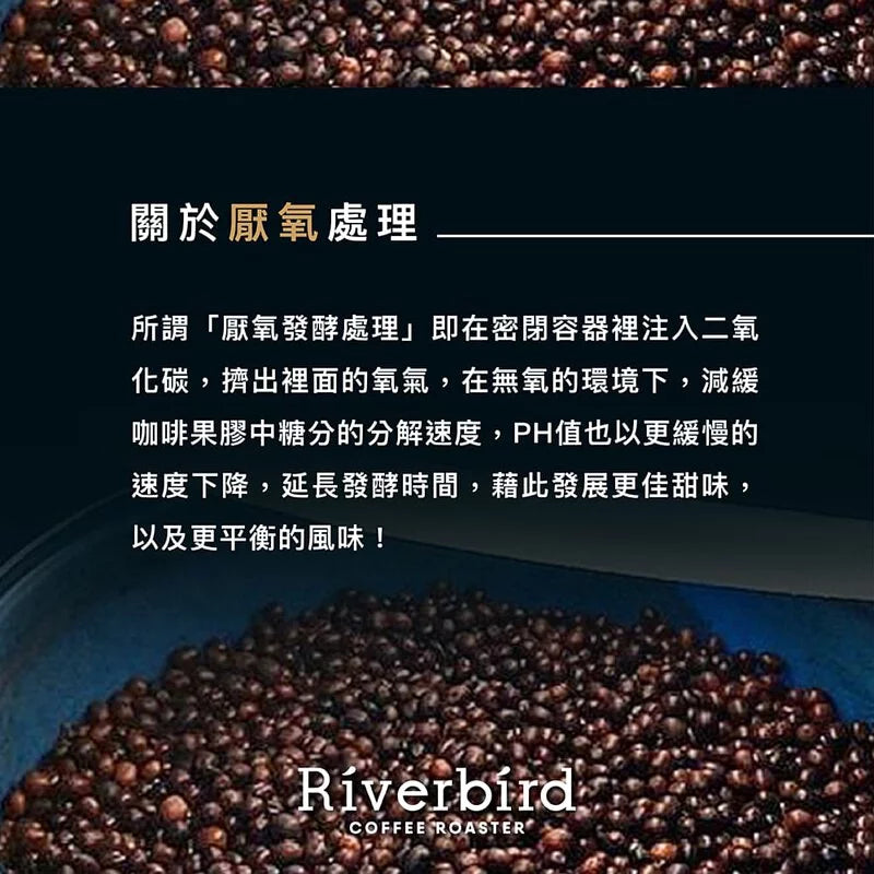 江鳥咖啡 【Riverbird】《10入掛耳》瓜地馬拉 新東方 胡美火山