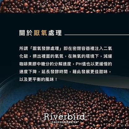 江鳥咖啡 【Riverbird】《10入掛耳》瓜地馬拉 新東方 胡美火山