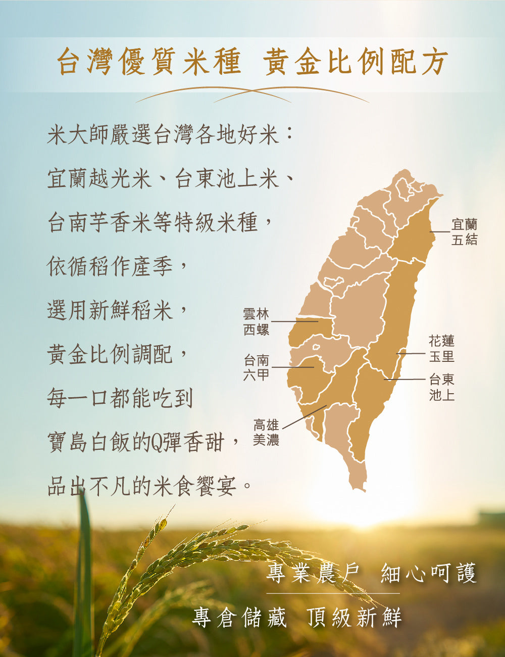 米大師 master mi 常溫熟飯-稻香白飯 家庭號 180g/包x12包