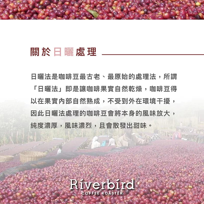 江鳥咖啡 【Riverbird】《225g》衣索比亞 烏拉嘎 月光酒孃G1