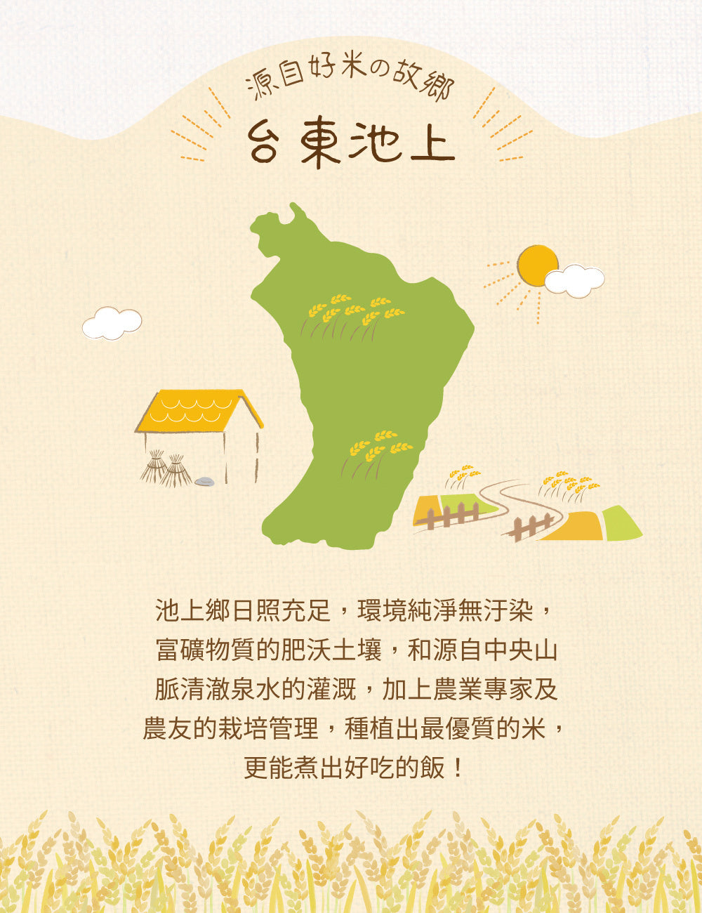米大師 master mi 池上香米飯 (180gx12包/箱)