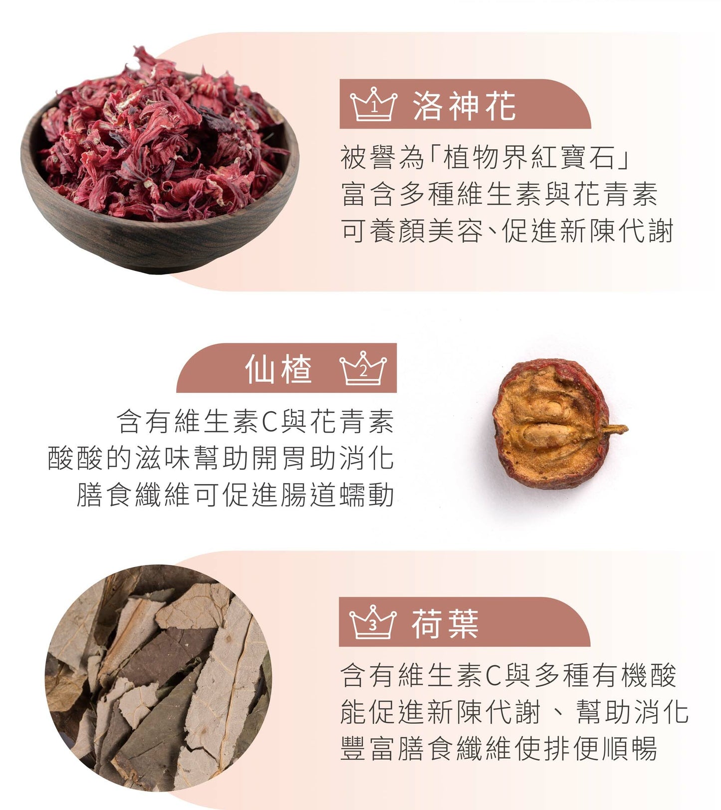 新譯漢方 洛花輕荷茶｜漢方養生茶包 【幫助代謝】SEE IN HERB Red Roselle Diet Tea(10入)