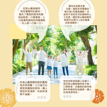 旺萊山-台灣鳳梨肉乾 黃金比例飽滿多汁 豬肉乾(100g*包)