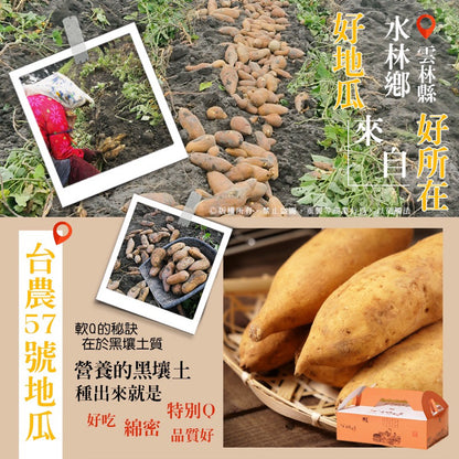 香濃綿密蜜焢古早味蕃薯台農57號地瓜Taiwan No. 57 Sweet Potato Original（200g/包）